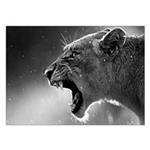 تابلوی ونسونی طرح The Lion Rave سایز 30x40