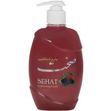 مایع دستشویی صحت مدل Raspberry مقدار 500 گرم Sehat Raspberry Handwashing Liquid 500g