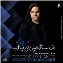 Percive My Hands by Kourosh Anoosh Music Album 