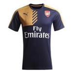 Puma Afc Training Jersey with Spons 74761803